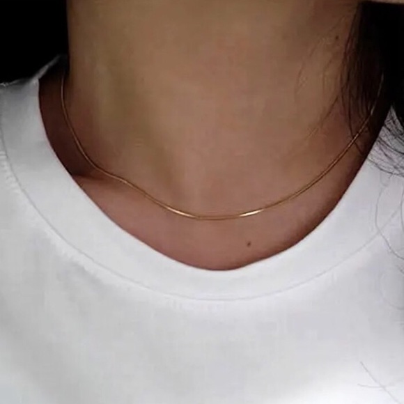 Grit and Grace Jewelry - Last 1! Dainty Gold Thin Herringbone Necklace